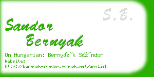 sandor bernyak business card